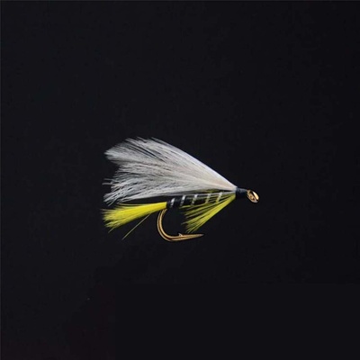 10pcs/Box Fly Fishing Flies Brass Bead Pheasant Tail Nymph